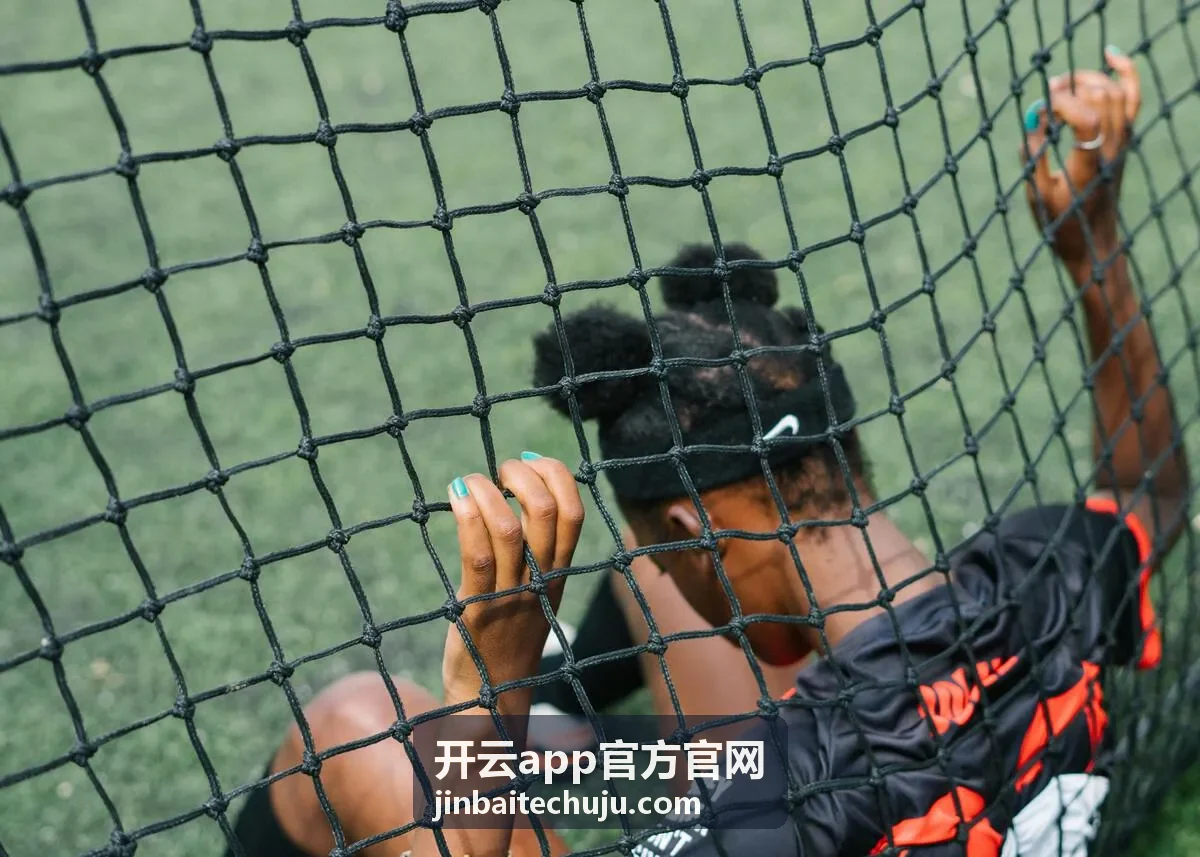 开云app官方官网性能与稳定性功能卡片